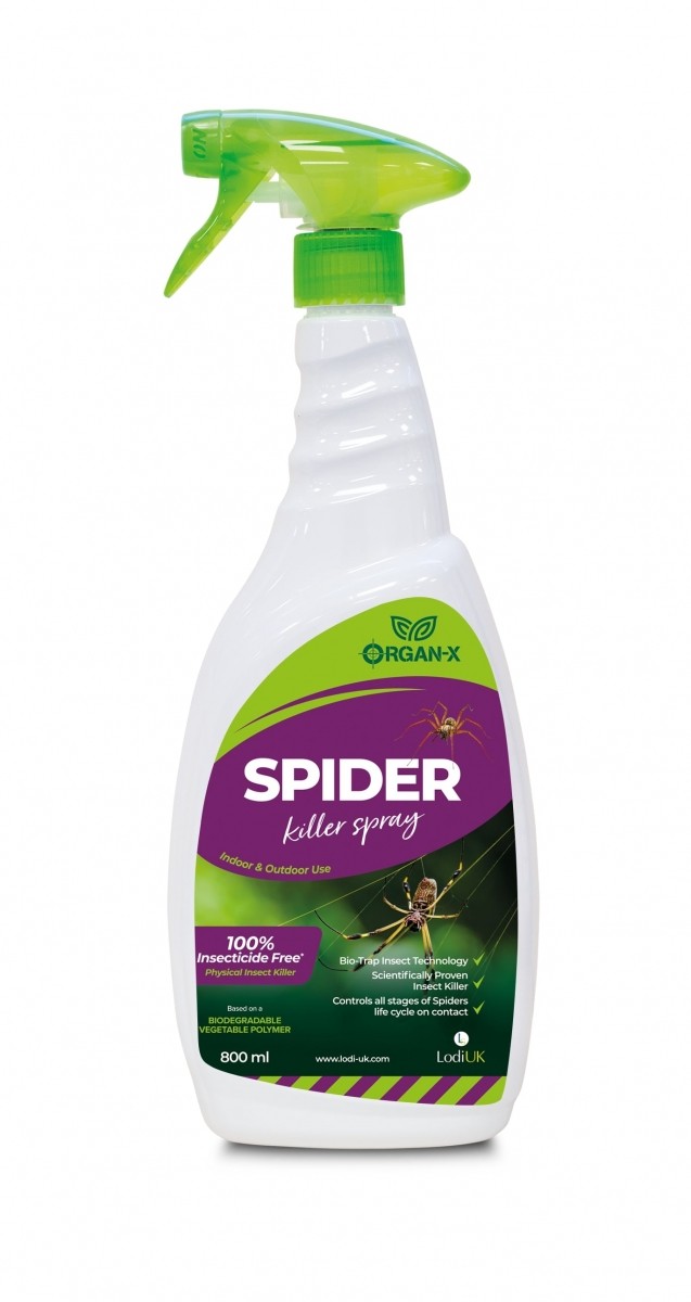 Organ X Spider Killer Spray Lodi UK